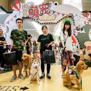 北美N1宠物运动嘉年华