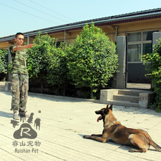 灯芯绒印花半身裙